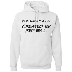 Unisex Basic Promo Hoodie