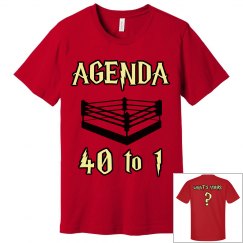 AGENDA 40 TO 1