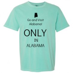 Adult Heavyweight T-Shirt