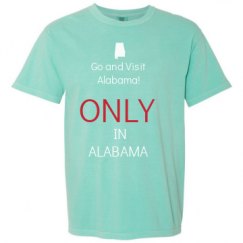 Adult Heavyweight T-Shirt