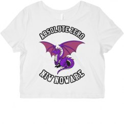 Ladies Slim Fit Crop Top Tee