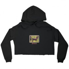 Ladies Relaxed Fit Cropped Fleece Hoodie