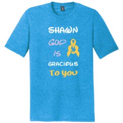 Unisex Perfect Tri Tee