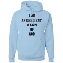 Unisex Basic Promo Hoodie