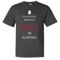 Adult Heavyweight T-Shirt