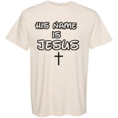 Adult Heavyweight T-Shirt