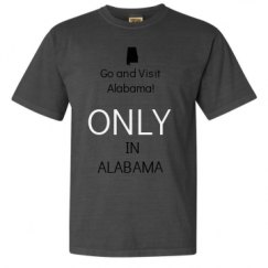 Adult Heavyweight T-Shirt