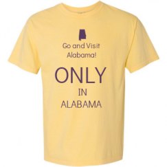 Adult Heavyweight T-Shirt