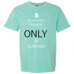 Adult Heavyweight T-Shirt