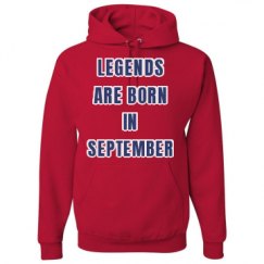 Unisex Basic Promo Hoodie