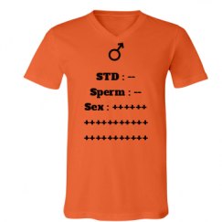 Unisex V-Neck Jersey Tee