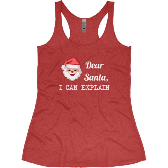 Dear Santa I Can Explain