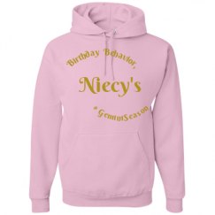 Unisex Basic Promo Hoodie