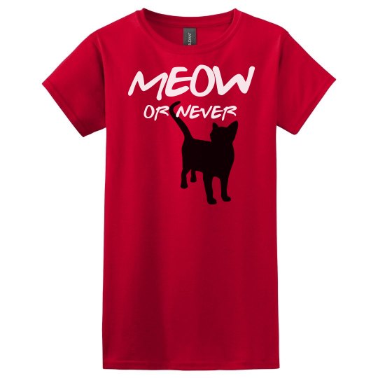 Meow Or Never Meow Or Never