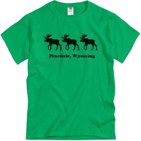 Moose Pinedale Wy Moose Pinedale Wy