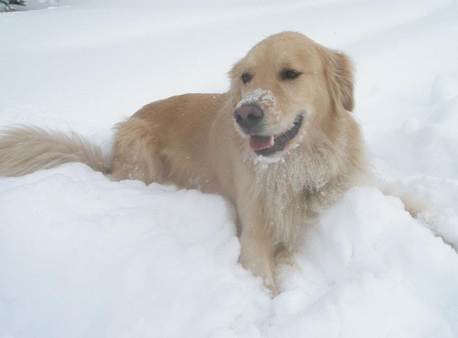 Mike's Custom T-Shirts