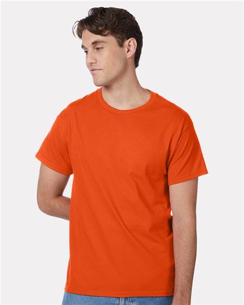 Authentic 100% Cotton T-Shirt - 5250-Hanes