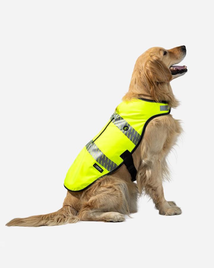 Hi-Vis All-in-One Dog Safety Vest - DG100-101-Kishigo