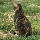 BethKK, United States of America