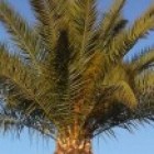 doudoulidou29, France