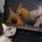 Deeltje, Netherlands