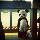 Kippo, United Kingdom