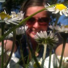 reizmeis, Netherlands