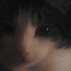 hear-me-roar, Germany