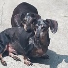 iqueenbeenana, United States of America