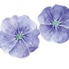 samprasyi, Hong Kong