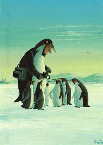 Penguins by Gerhard Glück