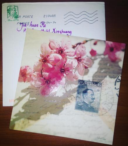 The flowers are freaking beautiful!!!