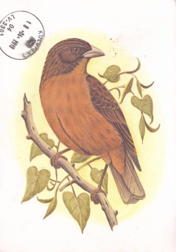 Beautiful postcard from Sao Tome and Principe. Lucky me! Thanks, Wei!