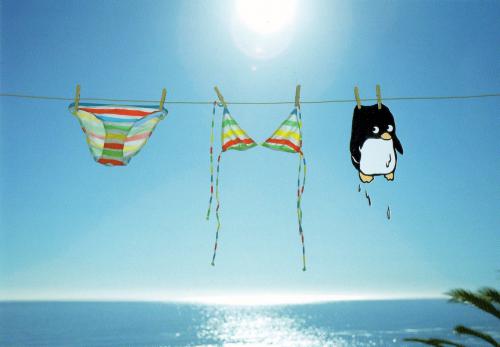 Penguin on a rope (the postcard is from Japan)