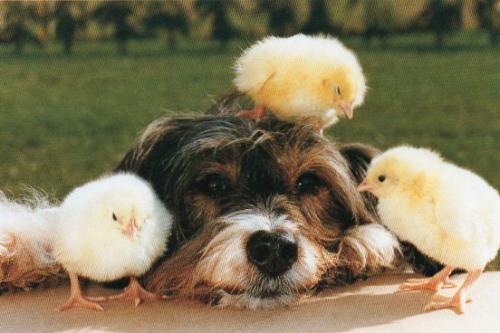 "It must be Easter" (1994) by Kike Hollist