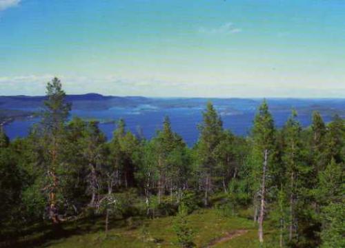 Northern Finland landscape. Thanks Sansku.