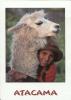America Andina
A provincial girl embracing her Llama