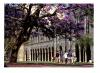 The University of Queensland, Brisbane - Australia