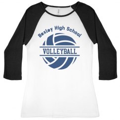 Volleyball Logo