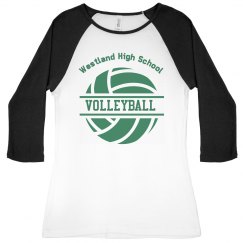 Volleyball Logo