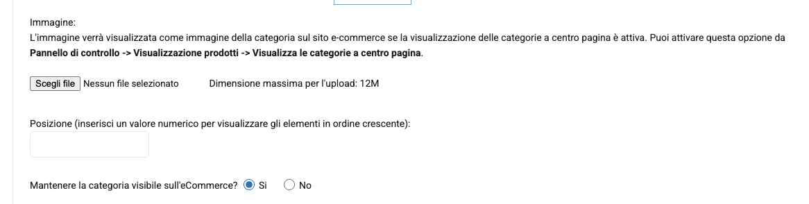 La parte bassa del modulo: immagine, posizione e visibilità