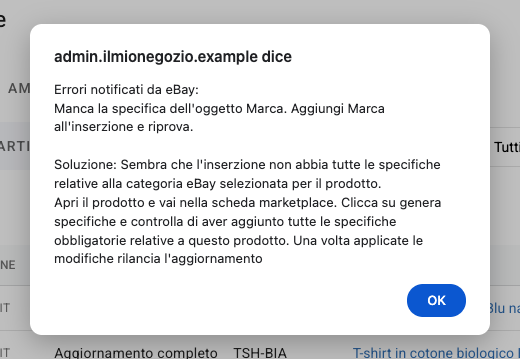 Il dettaglio di un errore di eBay con la soluzione suggerita