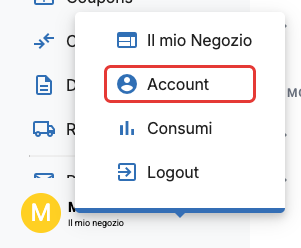 Il menu dell'account in basso a sinistra, con Account e Logout