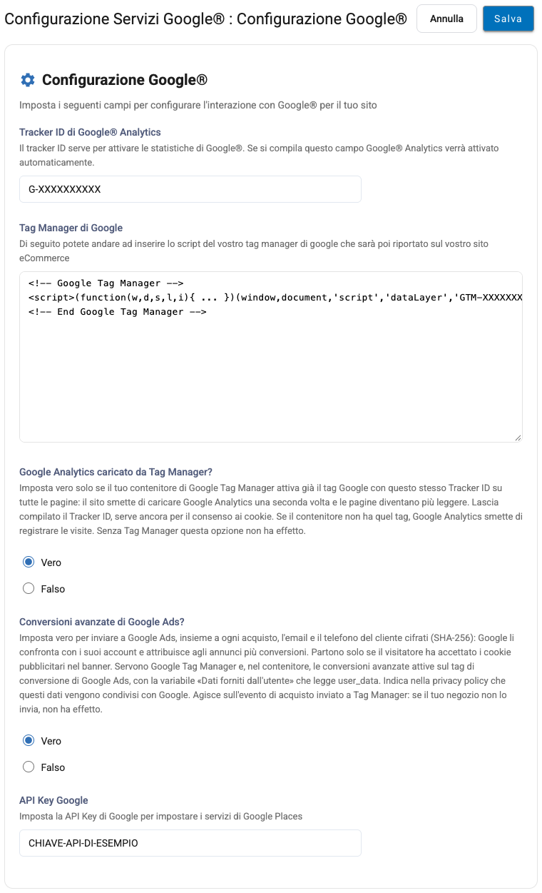 L'opzione Conversioni avanzate di Google Ads nella configurazione Google, con dati di esempio